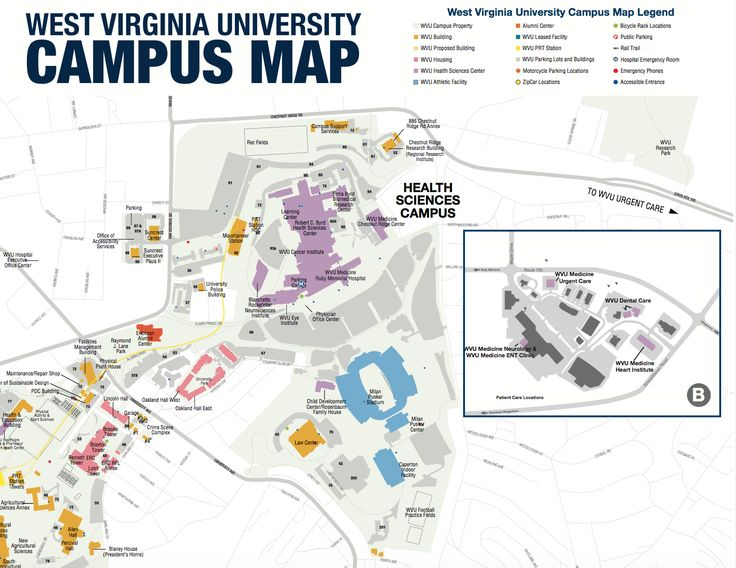37 Best Tour WVU Images On Pinterest Touring Tourism And Campus Map