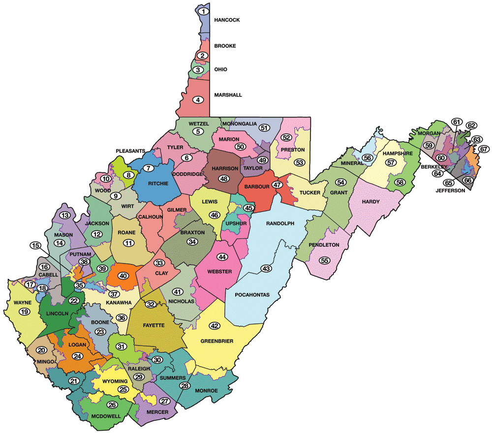 Bill That Would Create 100 Single Member House Districts Passes 