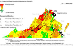 2023 Deer Season Forecast | Virginia Dwr with Virginia Public Hunting Land Map