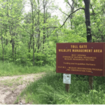 A Wildlife Enthusiast'S Wish Come True – Wonderful West Virginia For Westvaco Hunting Leases Near West Virginia Map
