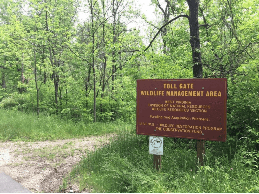 A Wildlife Enthusiast&amp;#039;S Wish Come True – Wonderful West Virginia for Westvaco Hunting Leases Near West Virginia Map