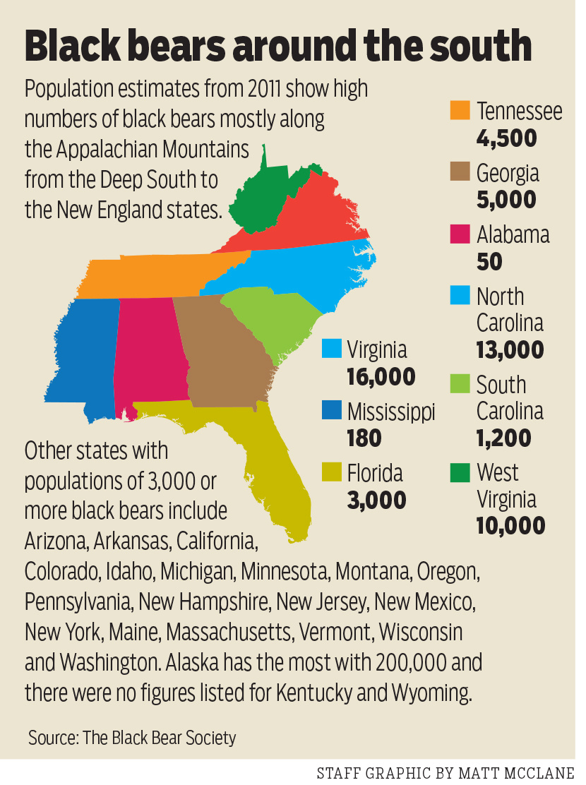 Bear Mauls Boy In Smokies As Growing Numbers Make Encounters More for West Virginia Bear Population Map
