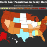 Black Bear Populationstate   A Z Animals Inside Bears In West Virginia Map