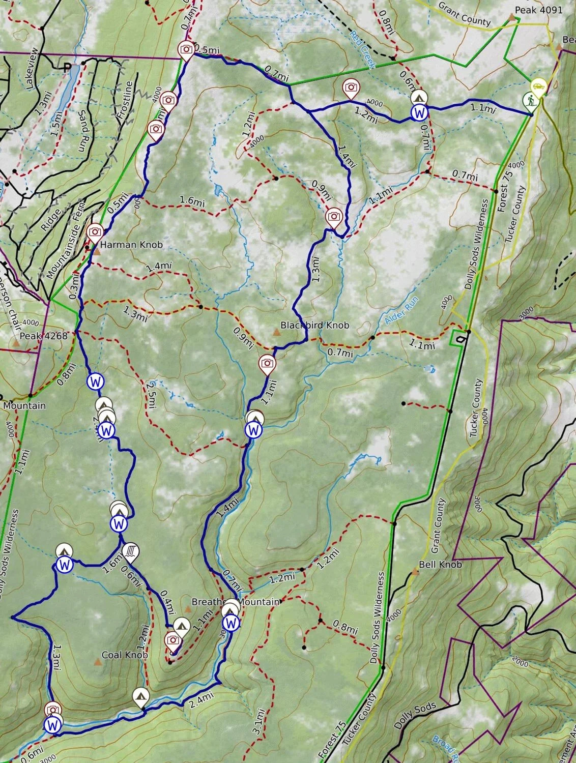 Dolly Sods Wilderness Loop Backpacking Guide — Into The Backcountry with Dolly Sods West Virginia Trail Maps