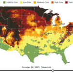 Explore Fall: Interactive Foliage Map With Regard To Virginia Fall Foliage Map 2026