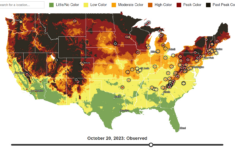 Explore Fall: Interactive Foliage Map with regard to Virginia Fall Foliage Map 2026