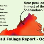 Fall Colors Around Virginia   Fredericksburg Free Press For Fall Foliage Map For Virginia