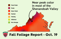 Fall Colors Around Virginia - Fredericksburg Free Press for Fall Foliage Map For Virginia