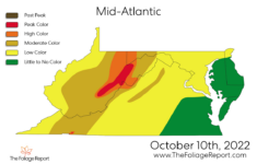 Fall Colors West Of Dc Found On Satellite - Wtop News inside Fall Foliage Map 2026 Virginia