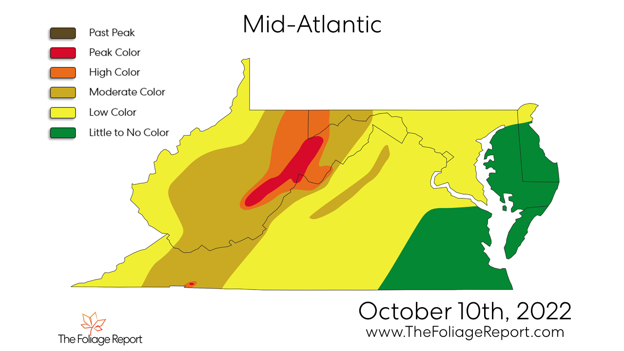 Fall Colors West Of Dc Found On Satellite - Wtop News inside Fall Foliage Map 2026 Virginia