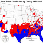 Feral Hogs Are Spreading, But You Can Help Stop Them | National Within Feral Hogs In Virginia Map