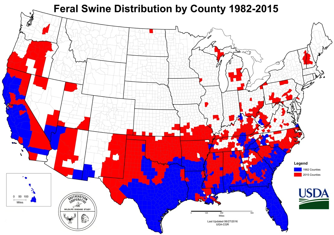 Feral Hogs Are Spreading, But You Can Help Stop Them | National within Feral Hogs in Virginia Map