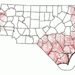Feral Pig Intended For Feral Hogs In Virginia Map