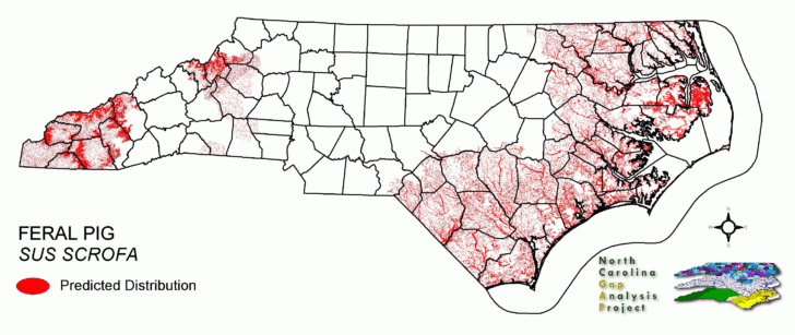 Feral Hogs in Virginia Map