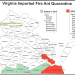 Invasive Fire Ants Found In Prince George: Here'S How To Identify For Fire Ant Quarantine Map Virginia
