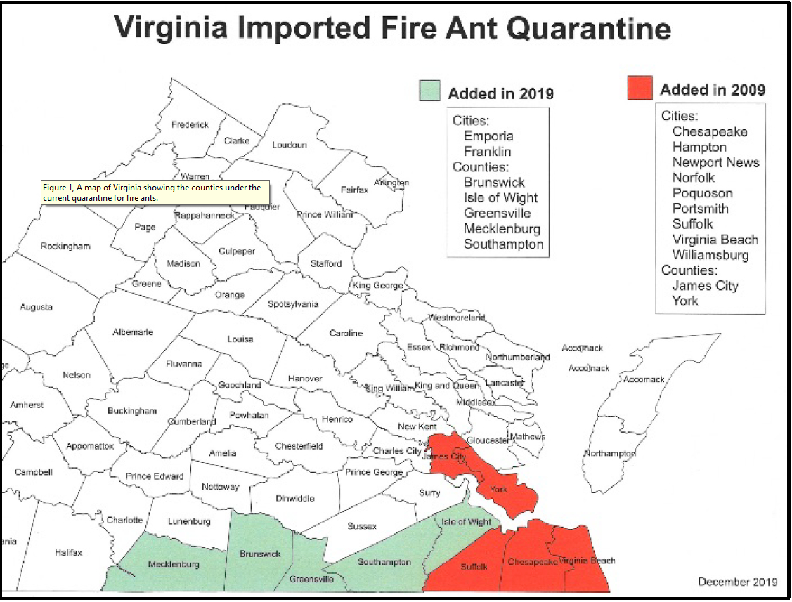 Invasive Fire Ants Found In Prince George: Here&amp;#039;S How To Identify for Fire Ant Quarantine Map Virginia