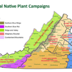 November 16, 2023: Outdoor Burn Bans Now In Place In Greene For Current Burn Bans In Virginia Map