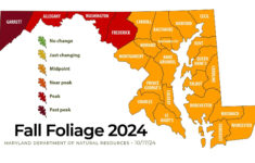 Parts Of Maryland And Virginia Reach Peak Fall Foliage Conditions for West Virginia Foliage Map 2026