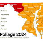 Parts Of Maryland And Virginia Reach Peak Fall Foliage Conditions Pertaining To West Virginia Fall Foliage 2026 Map