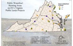 Public Hunting On Du Projects In Virginia | Ducks Unlimited with regard to Virginia Public Hunting Land Map