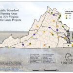 Public Hunting On Du Projects In Virginia | Ducks Unlimited With Virginia Wildlife Management Areas Map