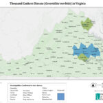 Quarantines In Virginia: Virginia Department Of Forestry Pertaining To Fire Ant Quarantine Map Virginia