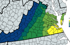 Ringneck Snake (Diadophis Punctatus) - Herping Virginia with regard to Venomous Snakes In Virginia Map