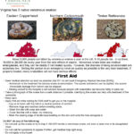 Snakes Of Virginia Inside Venomous Snakes In Virginia Map