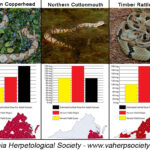 Snakes Of Virginia Regarding Venomous Snakes In Virginia Map