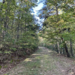 Sold – Real Estate Auction: “Westvaco Tracts” 697± Acres – 3 Throughout Westvaco Hunting Leases Near West Virginia Map