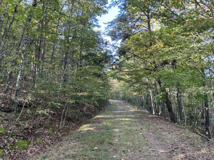 Westvaco Hunting Leases Near West Virginia Map
