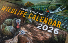 The 2026 West Virginia Wildlife Calendar Is Here for West Virginia Foliage Map 2026