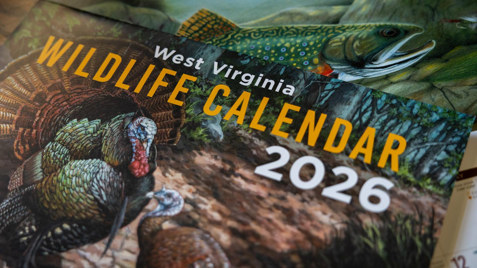 The 2026 West Virginia Wildlife Calendar Is Here for West Virginia Foliage Map 2026