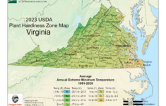 Usda Plant Hardiness Zone Map For Virginia | Gardening Know How for Virginia Plant Hardiness Zone Map