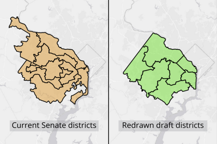Virginia State Senate District Map
