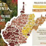 West Virginia Tourism Releases Fall Foliage Projection Map Inside West Virginia Fall Foliage Map 2026