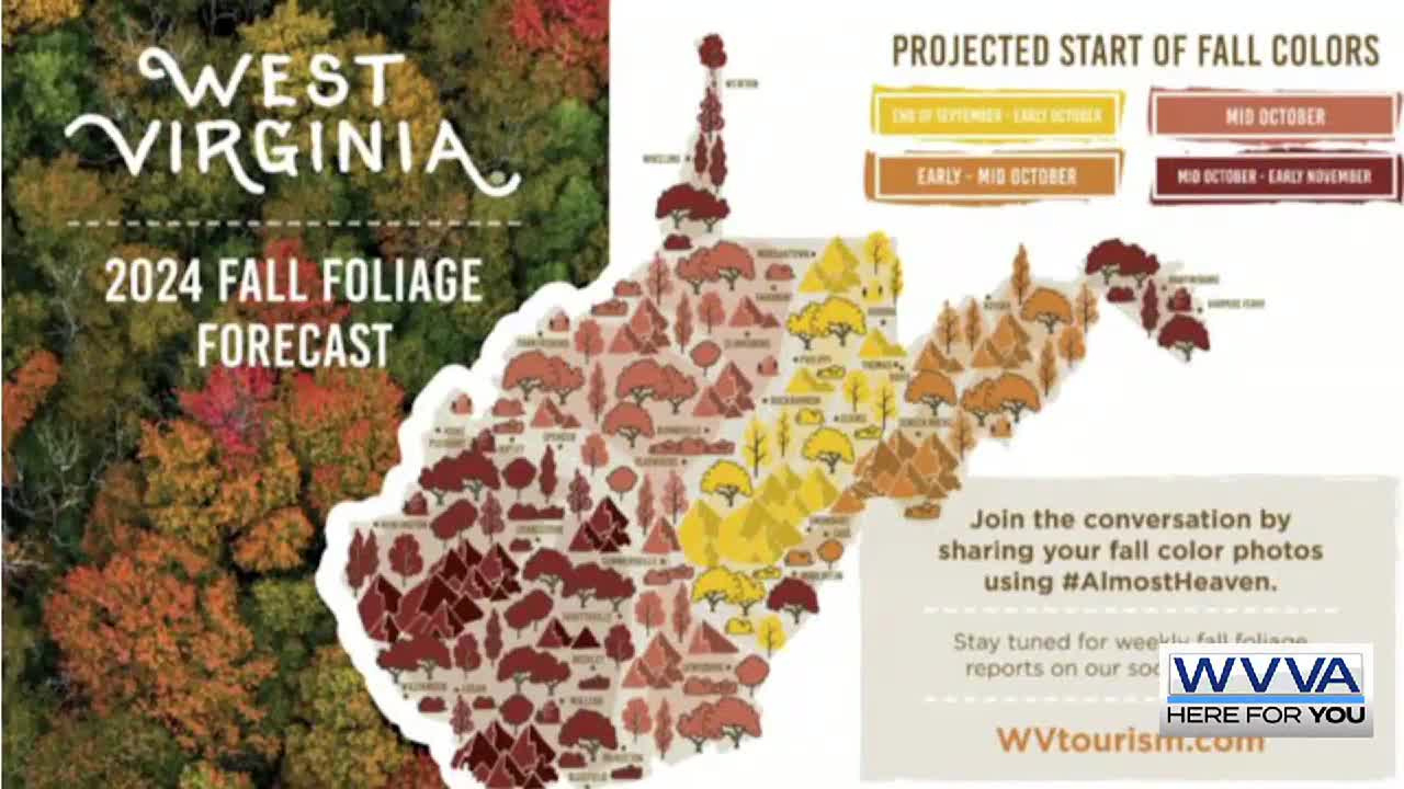 West Virginia Tourism Releases Fall Foliage Projection Map inside West Virginia Fall Foliage Map 2026