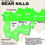 Western Maryland In The Middle Of A Bear Sandwich | Bear Hunt Throughout West Virginia Bear Population Map