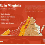 When Will Fall Foliage Peak In Northern Virginia? With Regard To Fall Foliage Map For Virginia