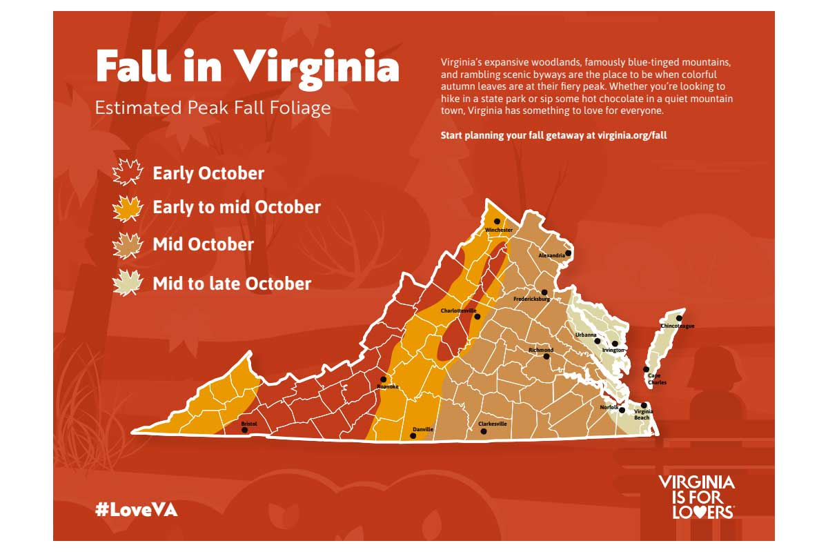 When Will Fall Foliage Peak In Northern Virginia? with regard to Fall Foliage Map For Virginia