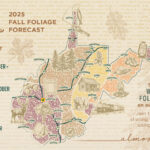 With Heavy Summer Rains, Officials Predict Strong Fall Foliage With Regard To Fall Foliage Map West Virginia