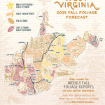 Wv Department Of Tourism Releases 2025 Fall Foliage Projection Map Regarding West Virginia Fall Color Map