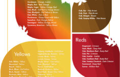 Wv Fall Foliage - Wv Division Of Forestry regarding Fall Foliage Map 2026 West Virginia