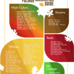 Wv Fall Foliage   Wv Division Of Forestry Regarding West Virginia Fall Foliage 2026 Map