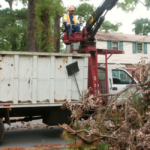 Yard Debris Pick Up & Rental Containers | City Of Virginia Beach In Virginia Beach Trash Pickup Tomorrow Map
