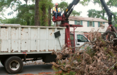 Yard Debris Pick-Up &amp; Rental Containers | City Of Virginia Beach in Virginia Beach Trash Pickup Tomorrow Map